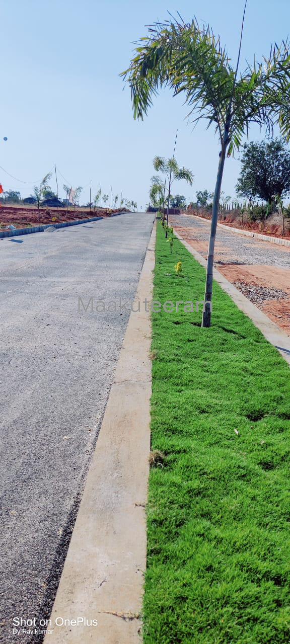 commercial Open Plot Flat For Sale In Nandiwanaparty Hyderabad