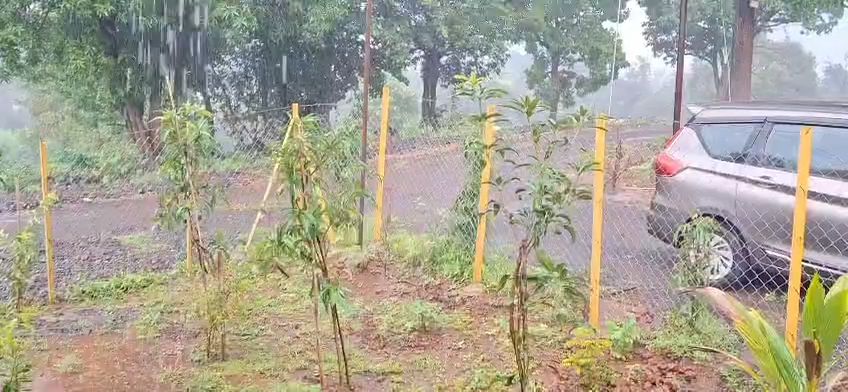 open land